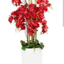 Large Red Orchid Arrangement in White Round Vase