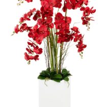 Large Red Orchid Arrangement in White Square Vase